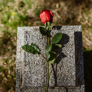 Honoring Veterans on Memorial Day with Speaking Roses: A Lasting Tribute
