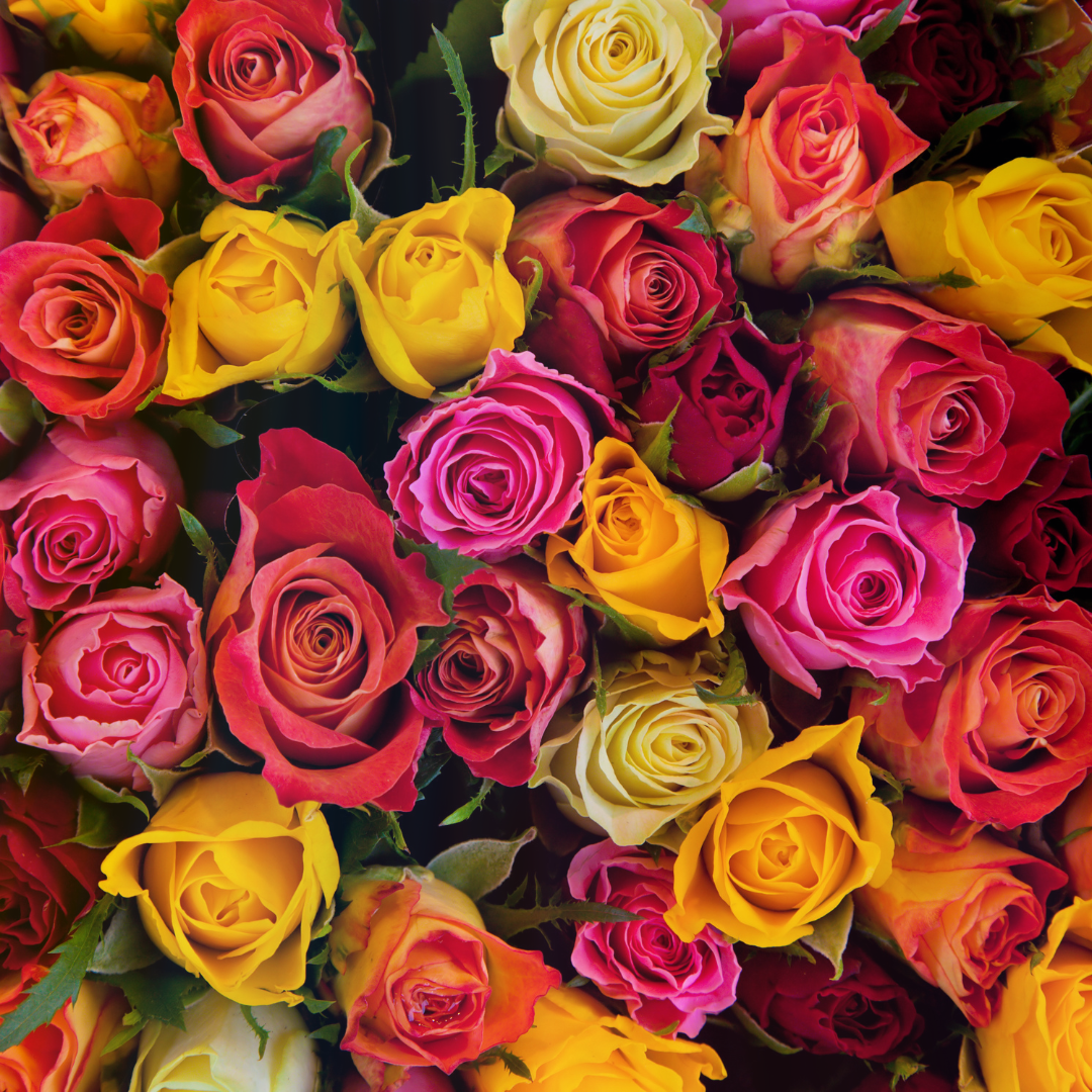 The Perfect Gift for Every Occasion: Personalized Roses from Speaking ...