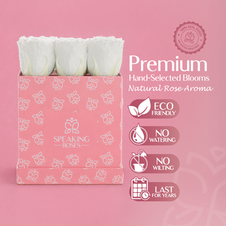 Sovelle OOS - Romance Collection