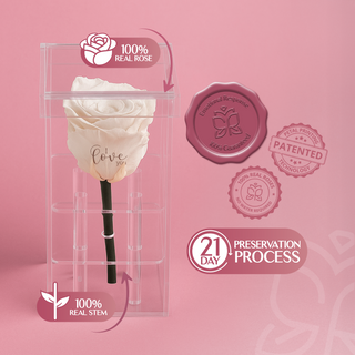 Luxara Uno - I Love You - Valentine's Day Collection