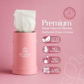 Solo Bloom - Valentine's Day Collection