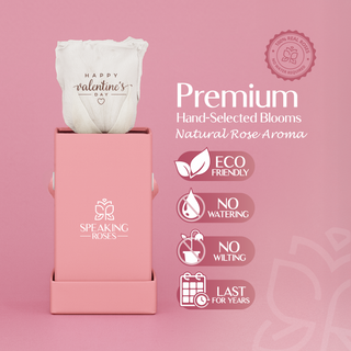 Sovelle XXS  - Happy Valentine's Day - Valentine's Day Collection