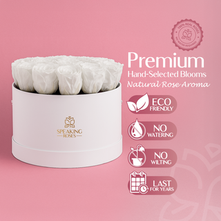 Magnaro Bloom - Romance Collection