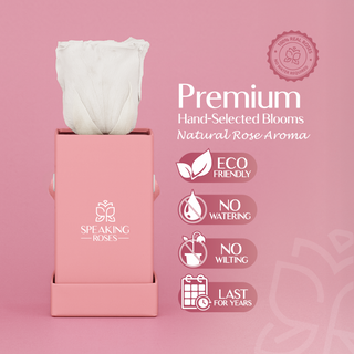 Sovelle XXS - Wedding Collection