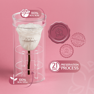 Acrisse One - Happy Valentine's Day - Valentine's Day Collection