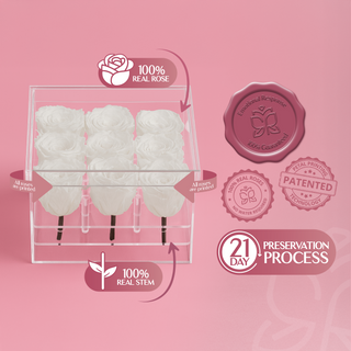 Luxara Nue - Valentine's Day Collection