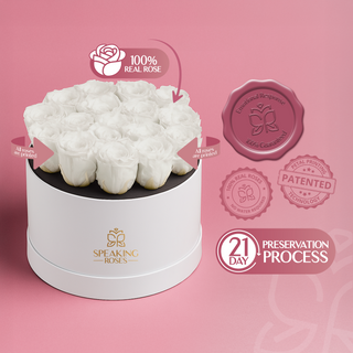 Magnaro Bloom - Romance Collection