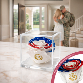 Equoria - America 250 Design- Personalized Rose - 100% Real (Preserved-Eternal)