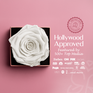 Sovelle XXS - Wedding Collection