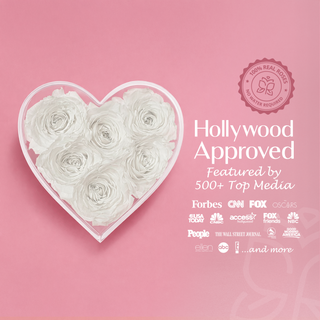 Lumira HZ - Romance Collection