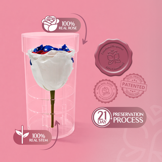 Acrisse One  - America 250 Design - Personalized Rose - 100% Real (Preserved-Eternal)
