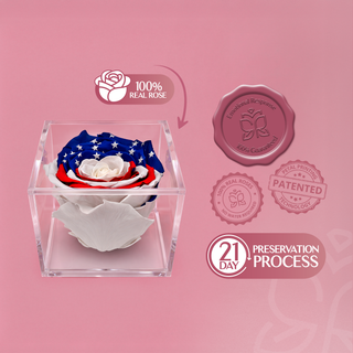 Equoria - America 250 Design- Personalized Rose - 100% Real (Preserved-Eternal)