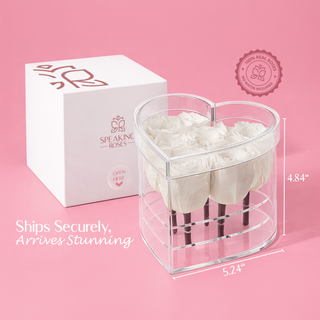 Lumira HZ - Romance Collection