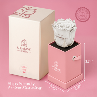 Sovelle XXS  - Happy Valentine's Day - Valentine's Day Collection