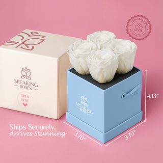 Sovelle OXS  - Valentine's Day Collection