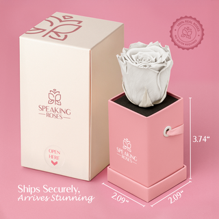 Sovelle XXS - Wedding Collection