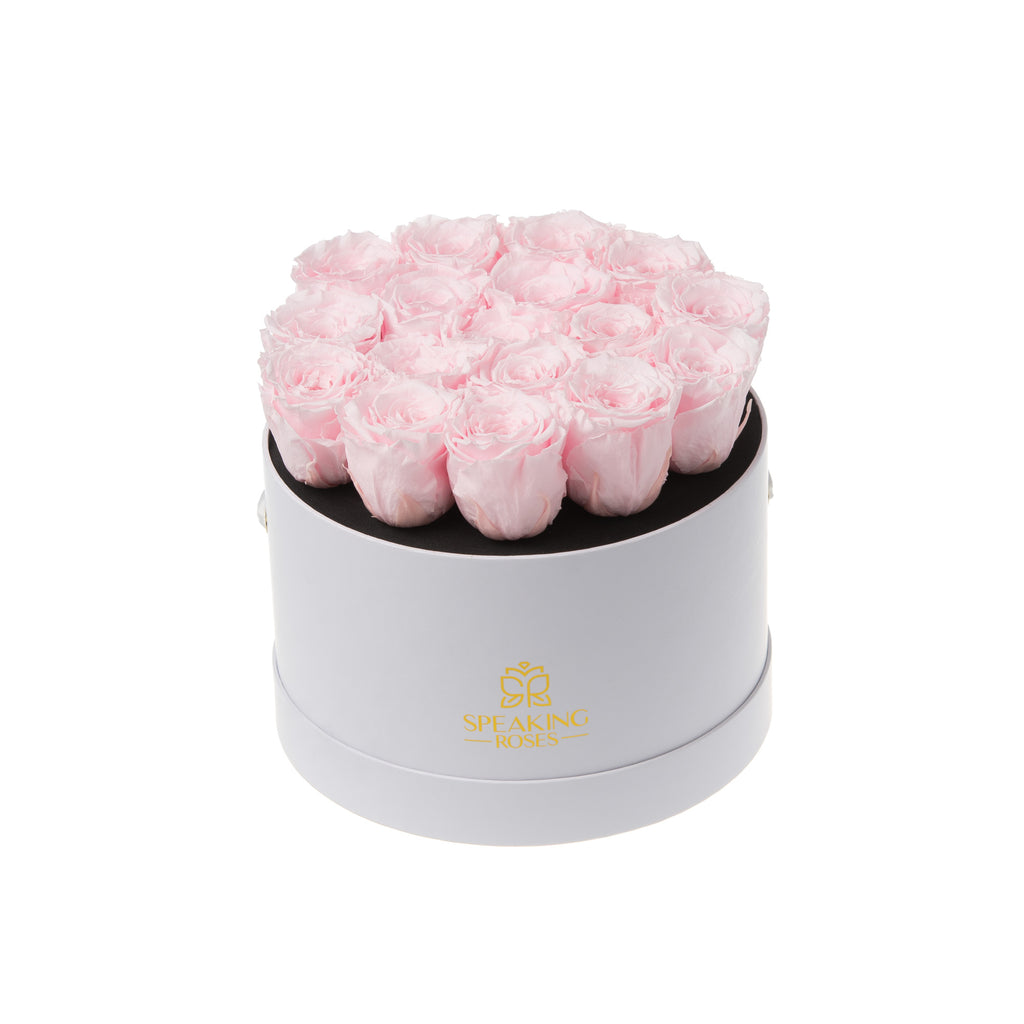 Magnaro Bloom - Anniversary Collection Speaking Roses