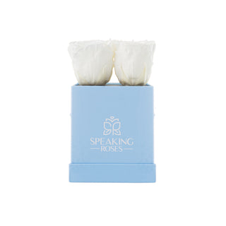 Square paper box (4 Preserved Heads)