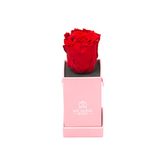 Sovelle XXS - 'Super Mom' Mother's Day Exclusive