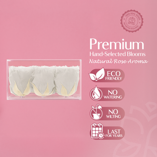 Equoria V09 - Valentine's Day Collection