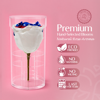 Acrisse One  - America 250 Design - Personalized Rose - 100% Real (Preserved-Eternal)