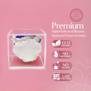 Equoria - America 250 Design- Personalized Rose - 100% Real (Preserved-Eternal)