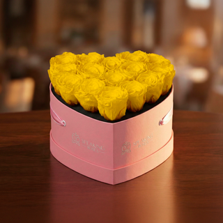 Amoura HM - Valentine's Day Collection