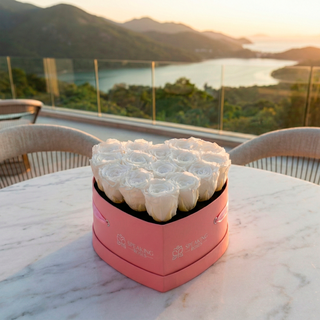 Amoura HM - Valentine's Day Collection