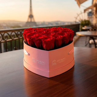 Amoura HM - Valentine's Day Collection