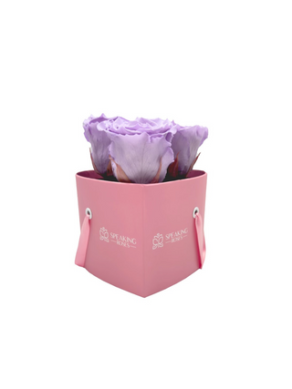 Heart Paper Box (3 Preserved Heads)