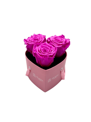 Heart Paper Box (3 Preserved Heads)