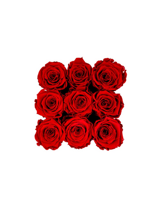 Square Paper Box (9 Preserved Rose Heads)