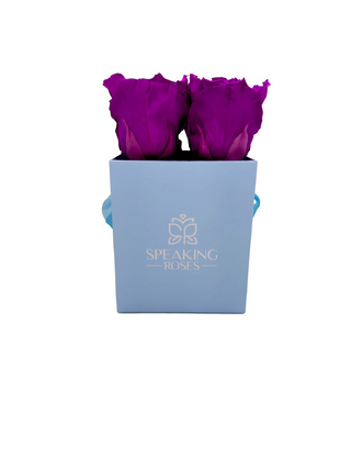 Square paper box (4 Preserved Heads)
