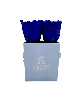 Square paper box (4 Preserved Heads)
