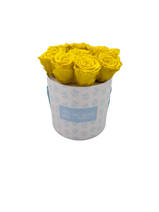 Round Paper Box (9 Preserved Heads)