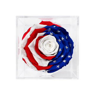 Luxara Uno  - America 250 Design - Personalized Rose - 100% Real (Preserved-Eternal)
