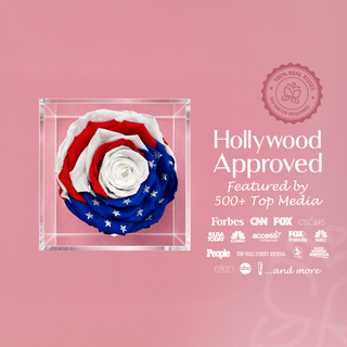 Equoria - America 250 Design- Personalized Rose - 100% Real (Preserved-Eternal)