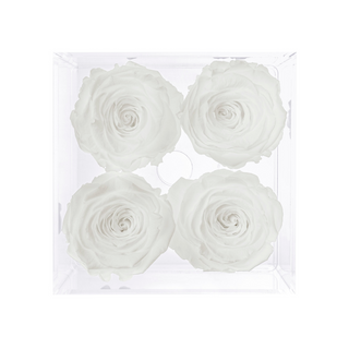 Luxara Cua – Happy Anniversary - 4 Personalized Roses - 100% Real (Preserved-Eternal)