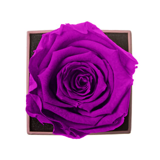 Sovelle XXS – Just To see you Smile - Personalized Rose - 100% Real (Preserved-Eternal)