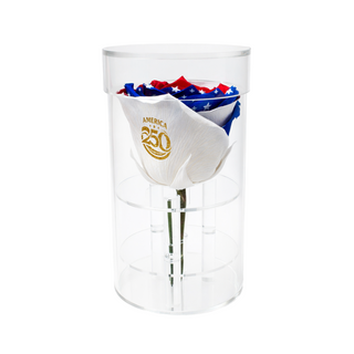 Acrisse One  - America 250 Design - Personalized Rose - 100% Real (Preserved-Eternal)