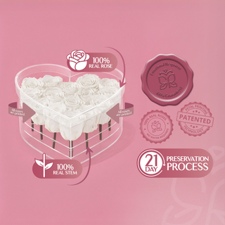 Lumira HO - Valentine's Day Collection