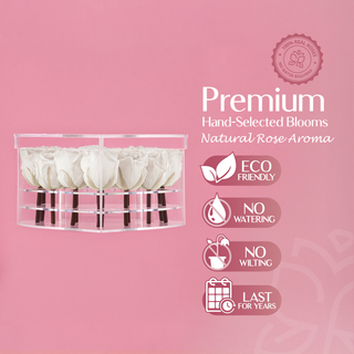 Lumira HO - Valentine's Day Collection