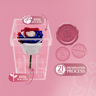Luxara Uno  - America 250 Design - Personalized Rose - 100% Real (Preserved-Eternal)