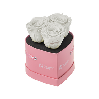 Amoura HS - Happy Valentine's Day - Valentine's Day Collection