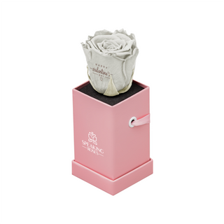 Sovelle XXS  - Happy Valentine's Day - Valentine's Day Collection