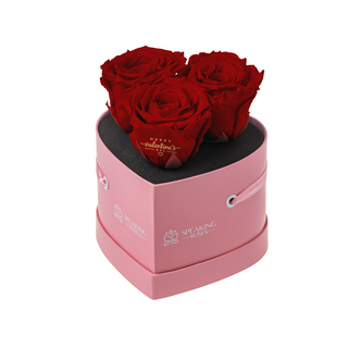 Amoura HS - Happy Valentine's Day - Valentine's Day Collection