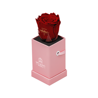 Sovelle XXS  - Happy Valentine's Day - Valentine's Day Collection