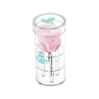 Acrisse One - Happy Valentine's Day - Valentine's Day Collection