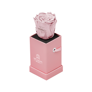 Sovelle XXS  - Happy Valentine's Day - Valentine's Day Collection