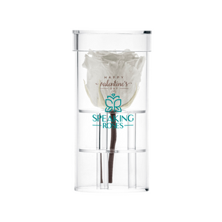 Acrisse One - Happy Valentine's Day - Valentine's Day Collection